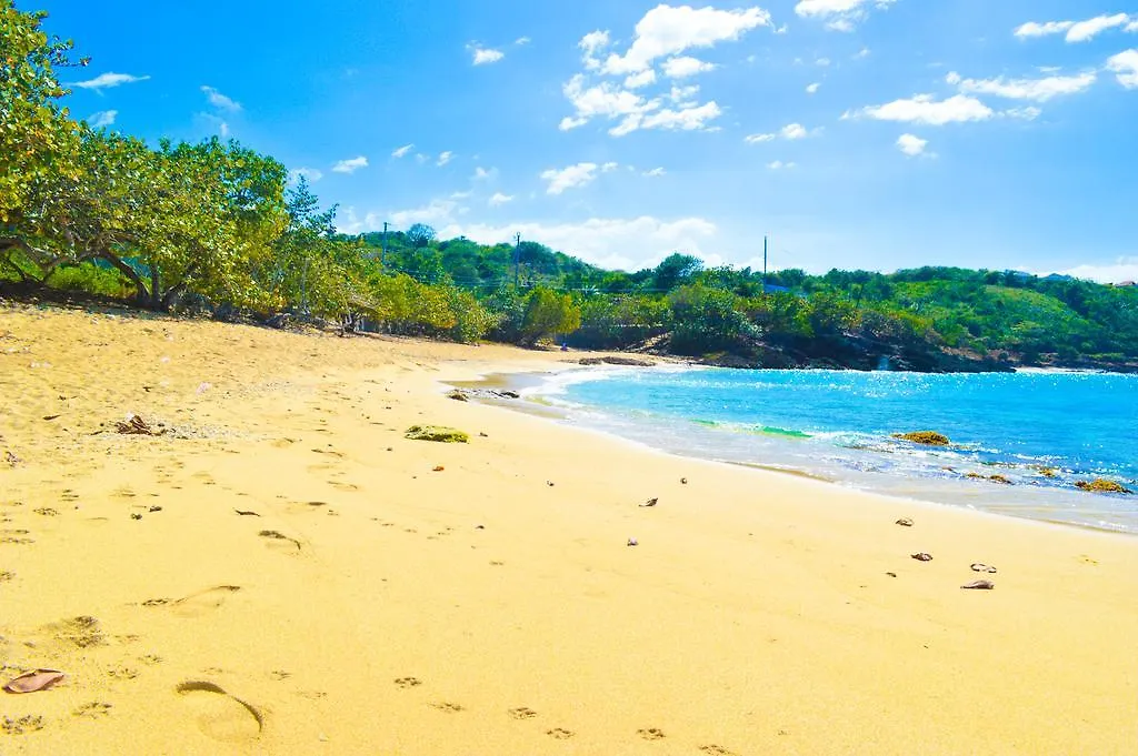Lemer Guesthouse & Villa Lucea 2*,  Jamaïque