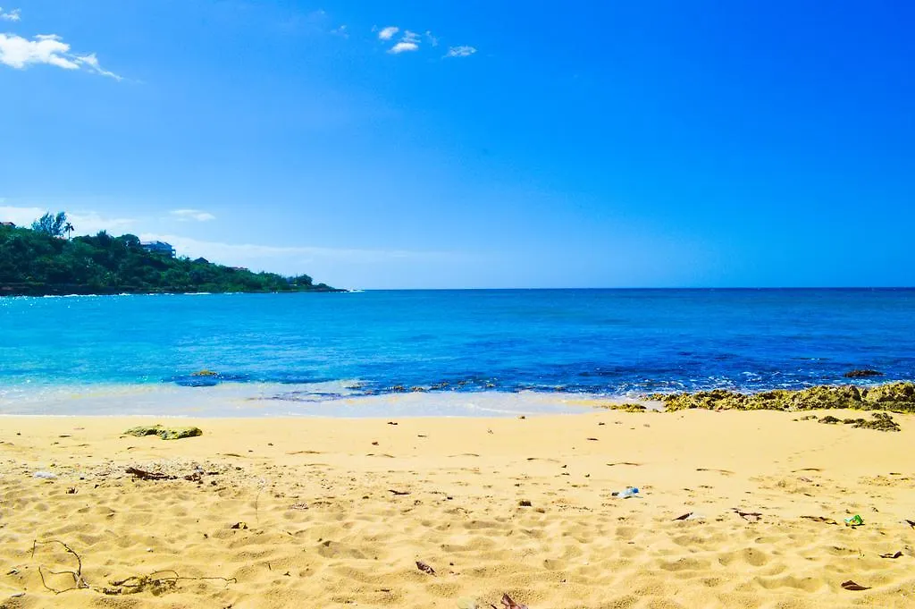 ** Guest house Lemer Guesthouse & Villa Lucea Jamaica