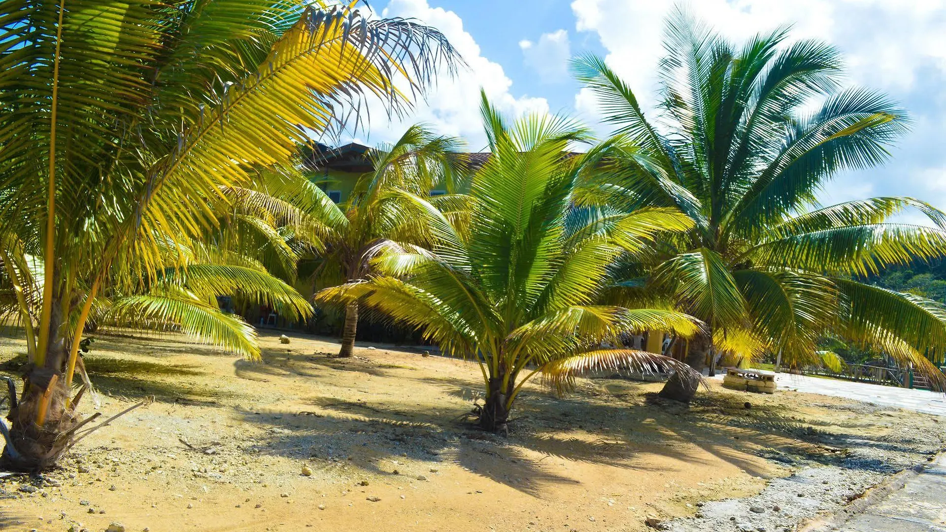 Lemer Guesthouse & Villa Lucea Guest house